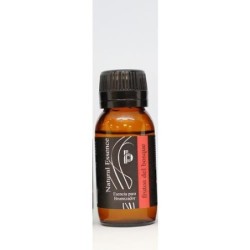 ESENCIA PARA BRUMIFICADOR 50ML FRUTOS DEL BOSQUE