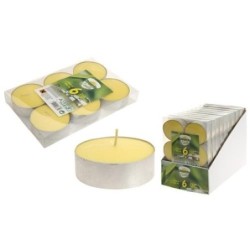 VELAS DE CITRONELA TEALIGHT 45GR. 8 UD 834