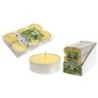 VELAS DE CITRONELA TEALIGHT 45GR. 8 UD 834
