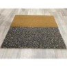 KIT BACTERICIDA (2 ALFOMBRAS 40x40+10L.BACTERIOL)