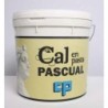 CAL EN PASTA ESPECIAL RESTAURACION CUBO 20KG 00004
