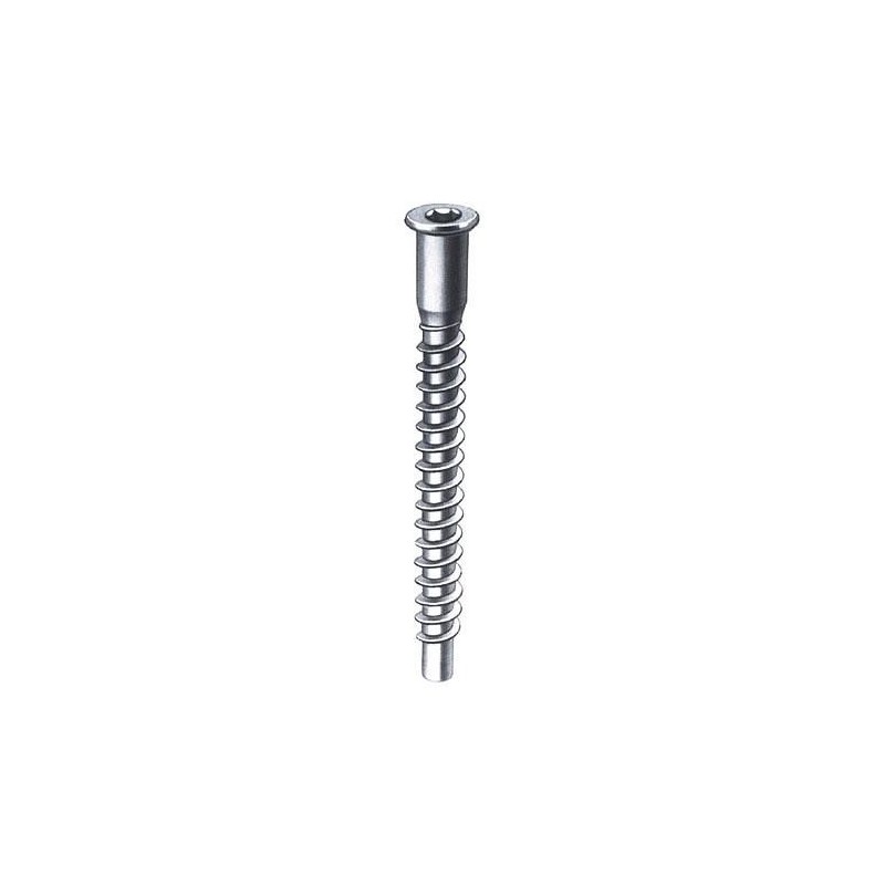 CENT. TORNILLO ENSAMBLAJE ZN. NUMERO 5 5X50