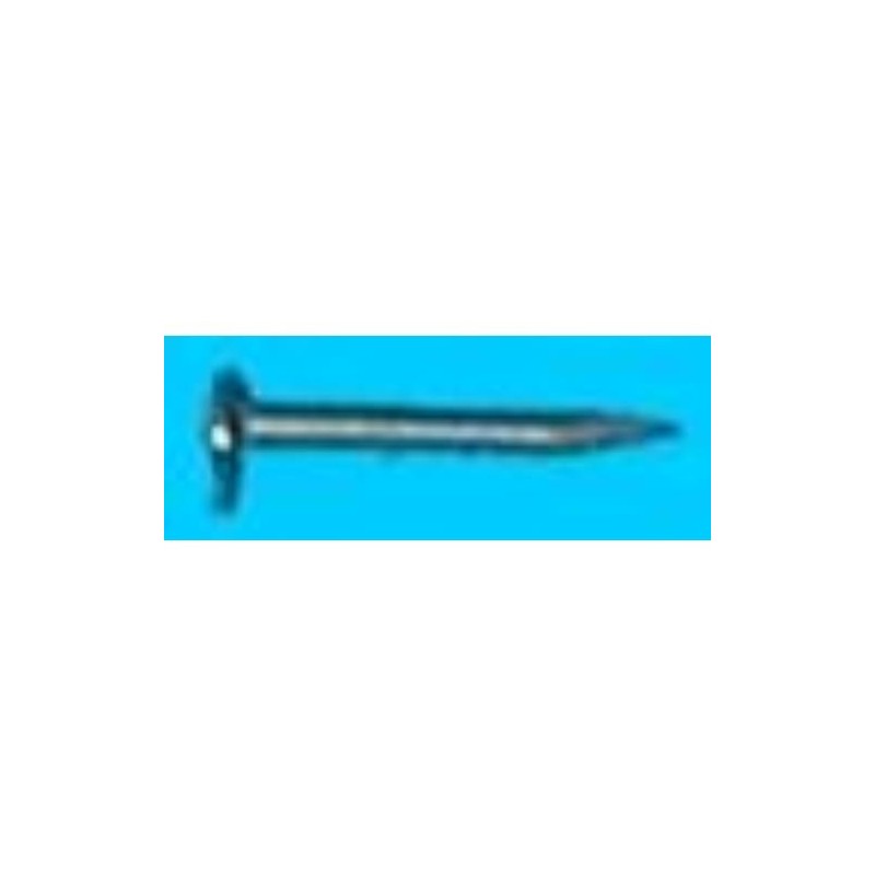 SEMENCE DE 10 CINCADO COINFER BLISTER