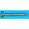 TORNILLO ROSCA CHAPA CABEZA ALOMADA 4,20X13 ZN BL.