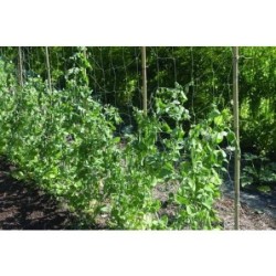 MALLA ENTUTORAR TRELLINET BIO 1,85X5M VERDE