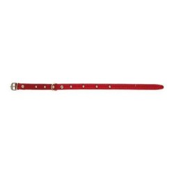 COLLAR PERRO FORNITURA 01005