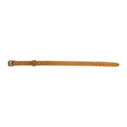 COLLAR PERRO FORNITURA 01007