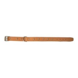 COLLAR PERRO FORNITURA 01010