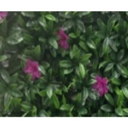JARDIN VERTICAL MALVA 50X50 CM. 240023