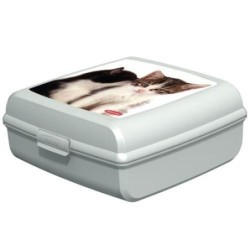 CAJA PORTAOBJETOS GATOS L 181171