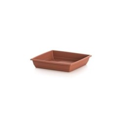 PLATO CUADRADO GARDENIA 17 X 17 509037