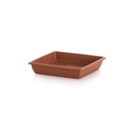 PLATO CUADRADO GARDENIA 21 X 21 509038