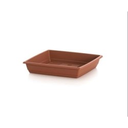 PLATO CUADRADO GARDENIA 25 X 25 509039