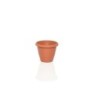 MACETA GARDENIA 10X8 CENTIMETROS