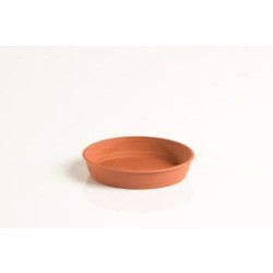 PLATO GARDENIA 10CM PARA MACETA 14CM