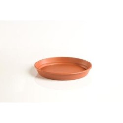 PLATO GARDENIA 26CENTIMETROS PARA MACETA 32CM