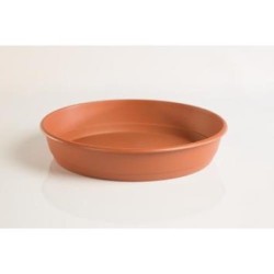 PLATO GARDENIA 34CENTIMETROS PARA MACETA 48CM