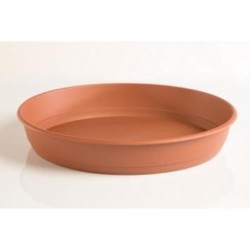PLATO GARDENIA 44 CENTIMETROS PARA MACETA 60CM