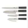 SET 4 CUCHILLOS JAPONESES SOLID+