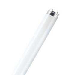 TUBO FLUORESCENTE TRIFOSFORO L 8 W./ 840