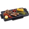 PLANCHA ASAR 2000W 490X270MM GR213