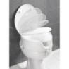 ALZADOR WC CON TAPA 41,5X44X19 20063