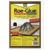 TRAMPA ADHESIVA RATAS ROE GLUE (2) 231556