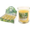 VELA VASO CITRONELA 8CM 420000120