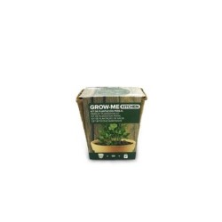 KIT SIEMBRA GROW ME KITCHEN PEREJIL GIGANTE 1GR