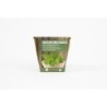 KIT SIEMBRA GROW ME MENTA PIPERITA 0,1GR