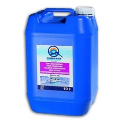 DESINCRUSTANTE FORTE PS 10   202910