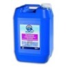 DESINCRUSTANTE FORTE PS 10   202910