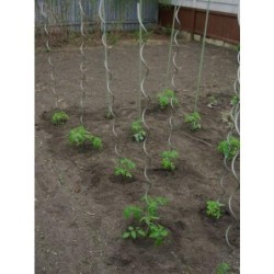 TUTOR ACERO ESPIRAL TOMATERO 7MM X 1,80M
