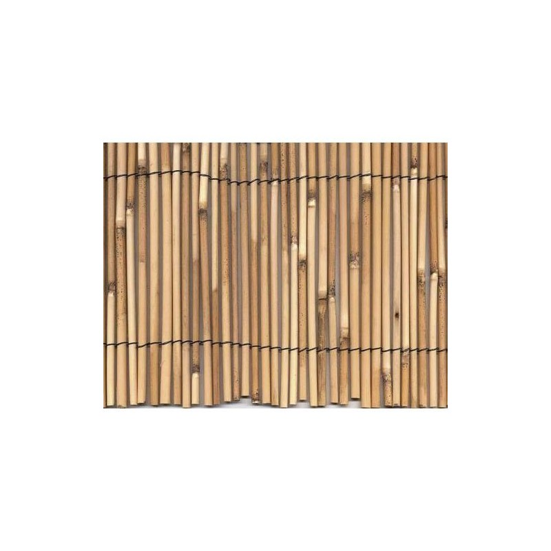 CAÑIZO BAMBU PELADO 2X5M. 270003