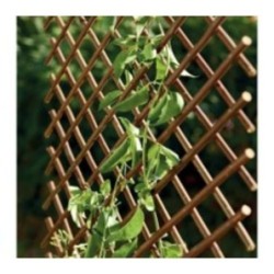 CELOSIA EXTENSIBLE DE MIMBRE 1X2 M 250017