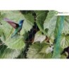 MALLA ANTIPAJAROS 4X12 M. 203004