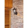 APLIQUE ASCENDENTE 60 W. NEGRO ORLANDO