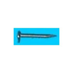 SEMENCE DE 10 CINCADO COINFER BLISTER