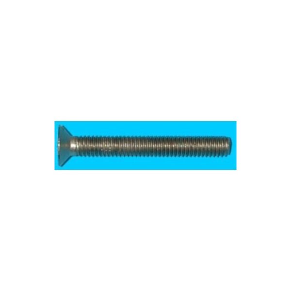 TORNILLO C/PL. METRICA 6X60 ZN. BLISTER