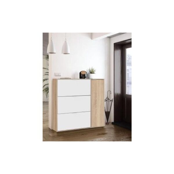 ZAPATERO CLASS 4 PUERTAS BLANCO/ROBLE 017818F