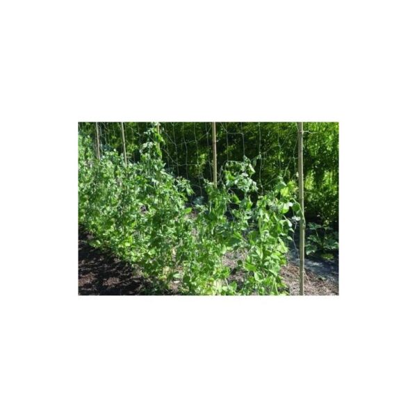 MALLA ENTUTORAR TRELLINET BIO 1,85X5M VERDE
