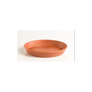 PLATO GARDENIA 30CM PARA MACETA 38CM