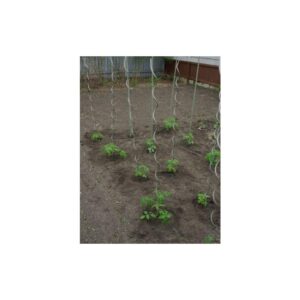 TUTOR ACERO ESPIRAL TOMATERO 7MM X 1,80M