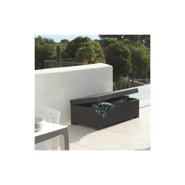 BAUL DIVA GRAFITO 554489