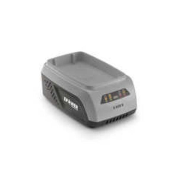 CARGADOR 48V 415 S 278020000/21